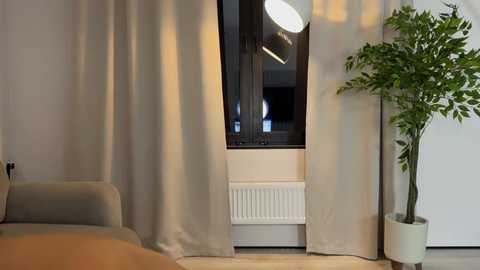 Video of a modern, minimalist room with beige curtains partially drawn, revealing a white radiator below a large window. A tall green potted plant stands beside a beige chair.