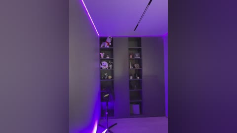 A video of a modern, dimly lit room with gray walls. A tall shelving unit filled with stuffed animals and a small chair is centrally positioned. Neon purple lighting accents the scene.