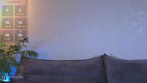 Video of a dimly lit room with a white wall, a gray fabric screen, and a digital timer display showing 30 minutes, 10 seconds, and 15 minutes. A plant is visible in the left corner.