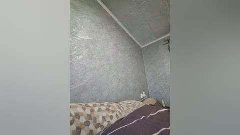 A video of a small, dimly lit bedroom with textured gray walls, a bed with patterned bedding, and a ceiling fan.