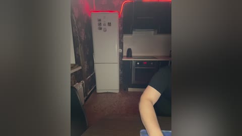 Video of a dimly lit, cramped kitchenette with a white refrigerator, small sink, and microwave, adorned with red neon lights on the wall. A person in dark clothing is partially visible in the foreground, holding a smartphone.