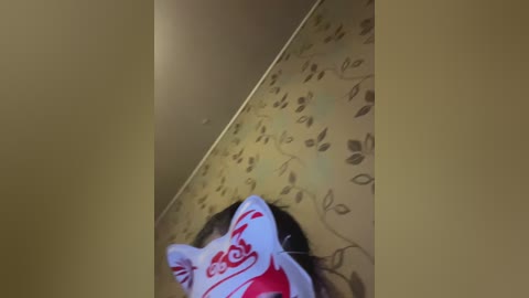 A video captures a close-up view of a white and red embroidered cloth, possibly a flag, draped on a beige wall with floral patterns.