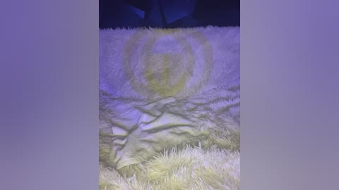 A video of a cozy, dimly lit room featuring a plush, light beige carpet with a circular, yellowish stain in the center. The room is softly lit with a purple hue, creating a warm, intimate atmosphere.