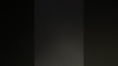 This image is a video of a dark, textured wall, divided vertically by a faint, light-colored stripe. The overall color scheme is predominantly black with subtle gradients of gray. The texture appears rough and uneven, adding depth to the scene.