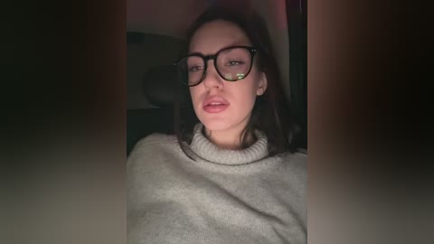 Video of a woman with fair skin, wearing black-rimmed glasses and a light grey turtleneck sweater, sitting in a dimly lit car with dark background.