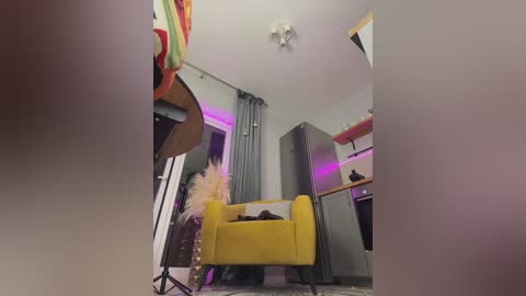 A video of a small, brightly lit kitchen with a yellow armchair, a pink feather duster, and a tall, slender vase on a stand. The kitchen features a stainless steel refrigerator, a wooden counter, and a wall-mounted light fixture.