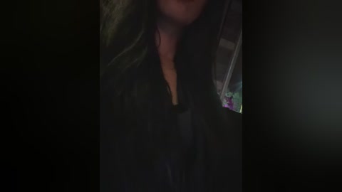 A dimly lit video of a person wearing a dark jacket, partially visible face, and indistinct background, suggesting a secretive or covert atmosphere.