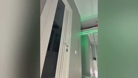 Video of a modern, minimalist hallway with light gray walls and a white sliding door slightly open, revealing a wardrobe with a green LED strip light.