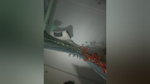 Video of a woman with short, dark hair wearing a green shirt and black shorts, climbing a vertical metal ladder in a dimly lit room with a reflective surface.