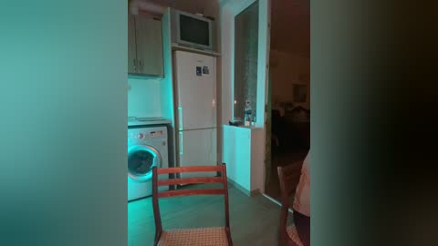 Video of a dimly lit kitchen with a white refrigerator, a washing machine, and a wooden chair, under a blue-green light, revealing a partially open doorway to a dark living area.