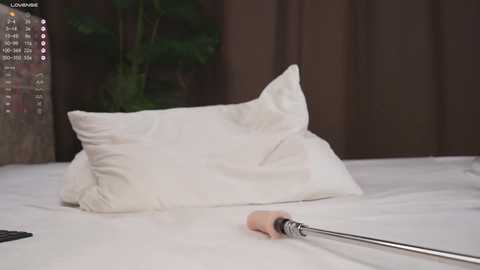 Video of a white pillow on a bed, with a person lying on their back, holding a white object, possibly a phone, on the pillow. Background features a green plant and dark curtains.