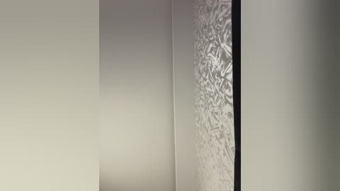 Video of a minimalist room corner featuring a beige wall with a vertical, frosted glass panel displaying intricate, floral patterns. The light softens the textures, creating a serene, understated ambiance.