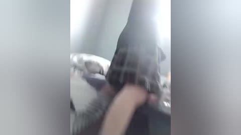 Video of a blurred, hand holding a black dog's paw on a bed with a grey blanket. The image is slightly out of focus, with soft lighting and a neutral-colored room background.