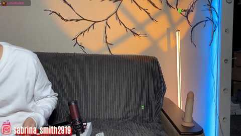 Video of a person in a white shirt, sitting on a textured gray couch, holding a black camera, in a room with warm lighting and a blue accent, featuring a decorative branch wall.