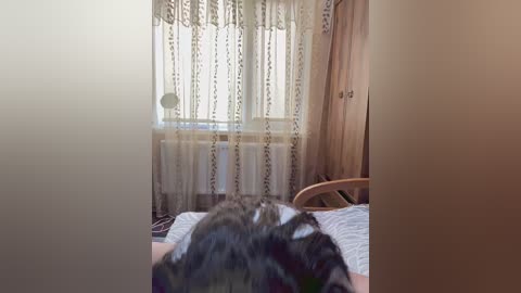 A video of a woman's head resting on a bed, seen from behind, with sheer curtains covering a window in a softly lit room.