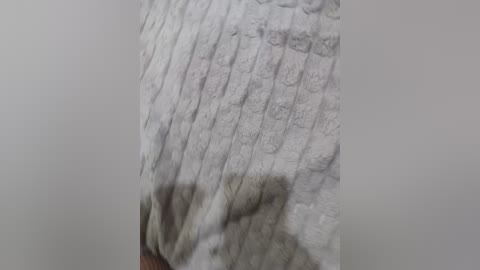 A close-up video of a person's arm in a ribbed, light gray sweater, showing detailed fabric texture and subtle shading. The background is blurred, focusing attention on the knitwear.