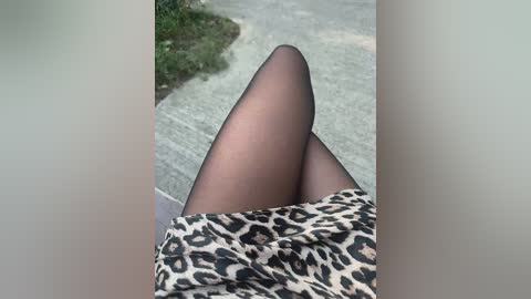 Video of a woman's legs in sheer black tights, covered by a leopard-print skirt. The background shows a blurred, concrete pathway with green grass. The image is candid and focuses on the legs, highlighting the contrast between the fabric textures.