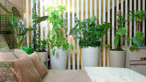 A video of a stylish, minimalist bedroom with beige walls, vertical white and gold-striped wallpaper, and potted green plants. The bed features a textured beige throw and a plush beige pillow.
