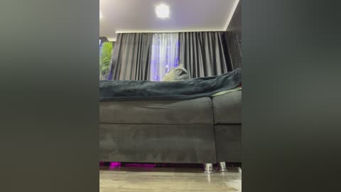 A video of a modern living room with a gray sectional sofa, plush dark gray throw blanket, and sheer white curtains. The room is well-lit with recessed lighting, and a potted plant is visible in the background.