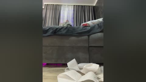 Video of a cozy, modern bedroom with a gray sectional sofa, a blue blanket, and sheer curtains. A crumpled white tissue lies on the wooden floor.