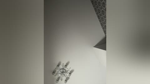 A black and white video captures a minimalist, geometrically patterned ceiling with a central chandelier. The light fixture features intricate, symmetrical designs and hangs from the center of the ceiling. The background is stark and monochromatic, emphasizing the clean lines and modern aesthetic.