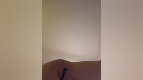 Video of a close-up of a woman's bare shoulder and upper arm, with a small black tattoo on the shoulder. The background is a plain, off-white wall.