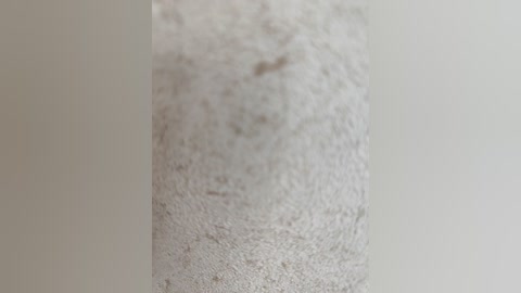 Video of a cylindrical, textured, light beige surface against a plain white background. The surface has a rough, slightly grainy texture, appearing to be made of concrete or similar material.