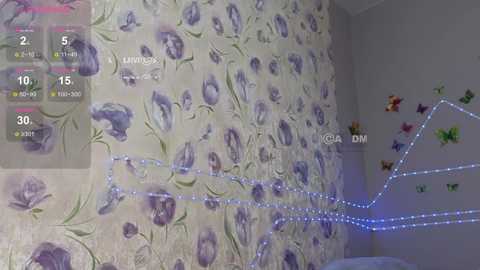 Video of a bedroom with a floral wallpaper and a blue string of fairy lights, adorned with butterfly decals, and a digital overlay showing temperature and humidity readings.