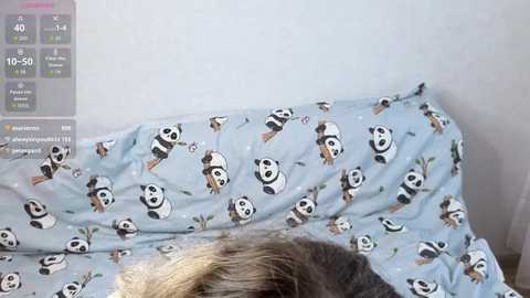 A video of a fluffy, long-haired cat sleeping on a light blue, cartoon panda-patterned blanket. The background is a plain white wall. A smartphone display showing a game interface is visible in the top left corner.
