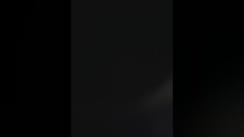 A dark, grainy video features a vertical, rectangular black void surrounded by pitch-black edges, suggesting a deliberate absence of light or subject matter. The image lacks visible textures or details, emphasizing the void's stark contrast with the surrounding darkness.