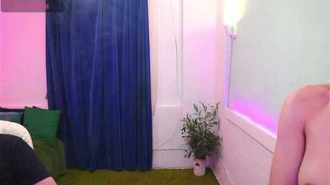 A video of a cozy room with a blue curtain, green carpet, white walls, a potted plant, and a nude person's shoulder in the foreground.