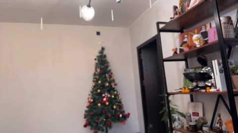 Video of a cozy, modern living room with a minimalist white wall, a small Christmas tree adorned with ornaments, a black bookshelf filled with books and decorative items, and a hanging light fixture.