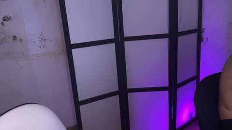 A video of a dimly lit room featuring a black and white shoji screen with purple ambient lighting, a white lamp, and a partially visible person in the background.