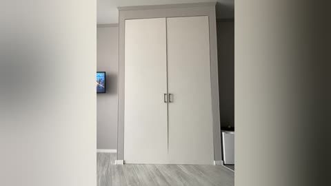 Video of a modern, minimalist bedroom featuring a large, sleek, beige wardrobe with silver handles, a flat-screen TV mounted on the left wall, and light gray walls and wooden flooring.