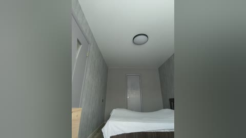 Video of a minimalist, sparsely furnished bedroom with gray walls, white bed, and a small door leading to a plain white ceiling with a round light fixture.