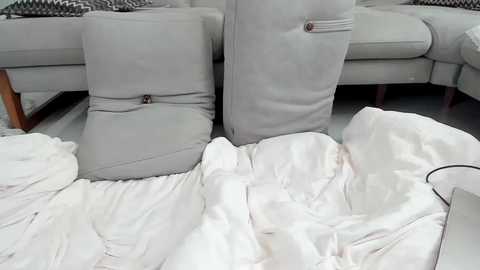 Video of a light grey leather sofa with two cushions, one with a zipper, partially covered by white sheets. The background shows a grey and white patterned rug.