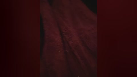 A close-up video of a human vulva, featuring a warm, reddish-brown skin tone with visible folds and labia minora, set against a dark, possibly black, background. The image is intimate and focused on the anatomical details.