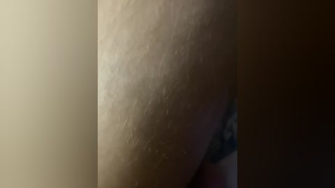 A close-up video of a woman's pale, slightly hairy thigh, with a dimly lit background and visible skin texture.