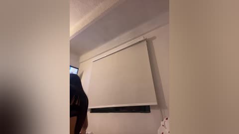 A video shows a person in a black dress standing in front of a white projector screen, with a small TV on the left and a white wall behind.