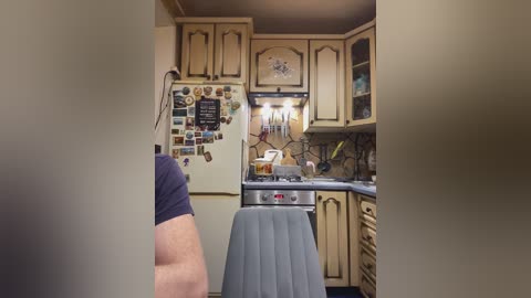 A video of a cozy kitchen featuring light wood cabinets, a cluttered refrigerator, a gray bar stool, and a person in a purple shirt partially visible.