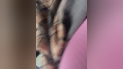 _euphoria_ free recording from 2025-12-05 00:07:00