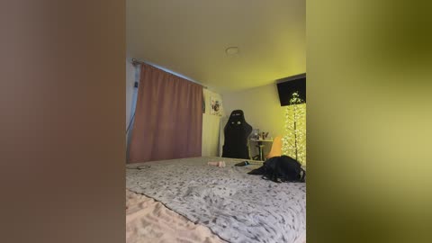 Video of a dimly-lit, cozy bedroom with a Star Wars-themed carpet, featuring a black Darth Vader figure, a green lamp, and a black dog on a white bed.