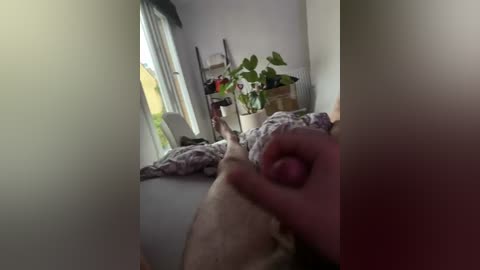 Video of a man holding a puppy in a cozy, sunlit room with a window, a potted plant, and a bed with rumpled sheets.