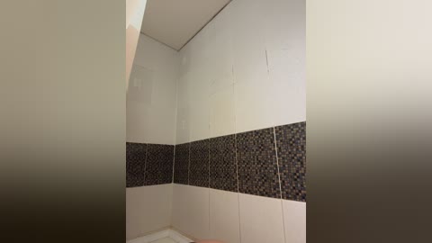 Video of a small, unfinished bathroom corner with white walls and a horizontal strip of black and gray mosaic tiles. The ceiling is also white, and the lighting is soft, giving the room a clean, minimalistic feel.