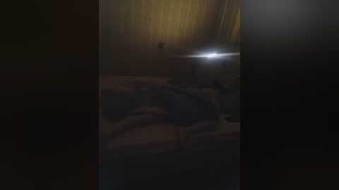 lyda27081 free recording from 2025-12-05 00:07:00