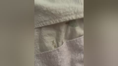 A close-up video of a person's arm in a light grey sweatshirt, with a portion of the sweatshirt pulled up, revealing a white T-shirt underneath. The image is slightly blurred.