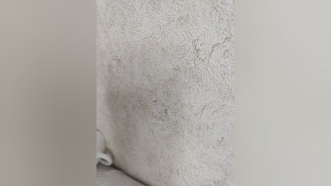 A video of a textured, beige wall with a slight crack near the bottom, showing a close-up view of the rough, slightly peeling surface. The background is a plain, light gray color, emphasizing the wall's imperfections.