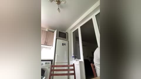 A video of a small, modern kitchen with light wooden cabinets, a white refrigerator, and a microwave. The kitchen is connected to a living room through a glass door. A wooden chair is visible.