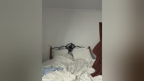 evelonelfi free recording from 2025-12-05 01:18:00