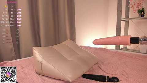 Video of a beige cushion on a pink quilted bedspread, with a realistic, life-size pink dildo and black vibrator placed on the bed. A virtual camera feed overlay shows social media icons.
